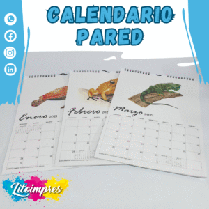 litoimpres - Calendarios -  (7)