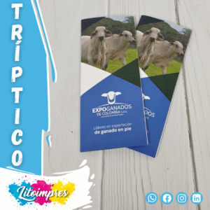 litoimpres - impresión -  (14)